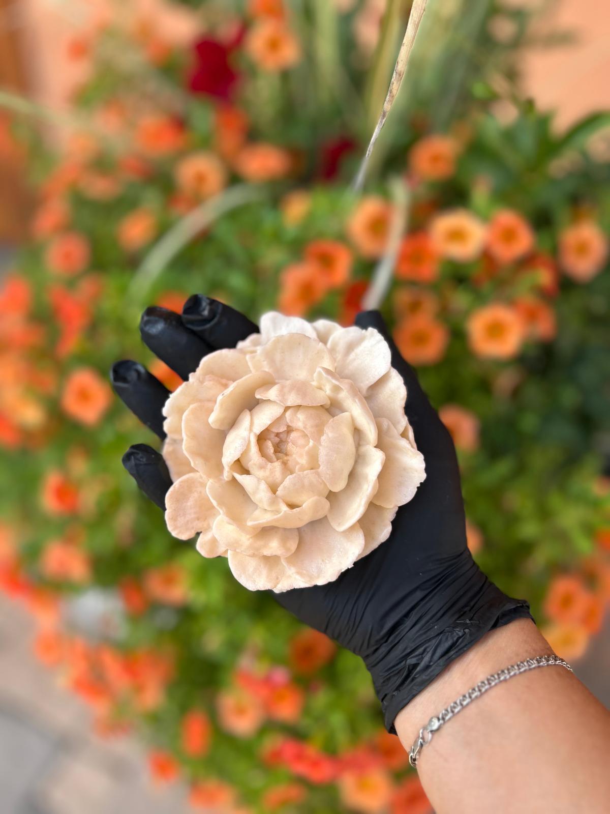 Oksi con i suoi fiori di zefir